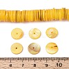 Natural Freshwater Shell Beads Strands SHEL-N037-03A-06-4