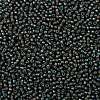 TOHO Round Seed Beads SEED-TR08-0383-2