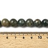 Natural Green Apatite Beads Strands G-K350-C04-10mm-5