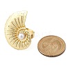 Conch Alloy Adjustable Rings for Women LS-RJEW-B108-03KCG-6