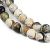 Natural Fire Crackle Agate Beads Strands G-C082-A01-49-4