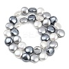 Electroplated Shell Pearl Beads Strands BSHE-H113-02B-2