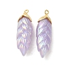 Rainbow Iridescent Plating Resin Pendants LS-RESI-C047-03E-G-1