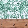 MIYUKI Delica Beads SEED-X0054-DB1182-2