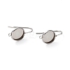 Tarnish Resistant 304 Stainless Steel Earring Hooks STAS-F271-01B-P-2