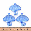 Transparent Acrylic Pendants TACR-T024-01B-940-4