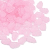 Frosted Transparent Acrylic Beads OACR-P029-04B-05-2