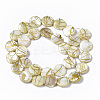 Drawbench Freshwater Shell Beads Strands SHEL-T014-012H-2