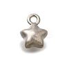 304 Stainless Steel Charms STAS-D310-06P-05-1