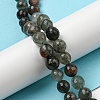 Natural Afican Bloodstone Beads Strands G-C079-B02-01-2