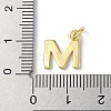 Rack Plating Brass Charms KK-P245-06G-M-3