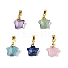 Faceted Natural Mixed Gemstone Charms G-N326-142-M-1