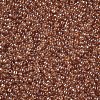 12/0 FGB Grade A Round Glass Seed Beads X-SEED-Q011-F501-2