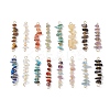 16Pcs 16 Styles Natural Mixed Stone Chip and Glass Seed Beaded Connector Charms PALLOY-JF03328-01-1