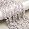 Natural Amethyst Beads Strands G-H315-A04-01-1