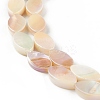 Natural Freshwater Shell Beads Strands SHEL-T009-22-2
