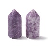 Natural Lepidolite/Purple Mica Stone Sculpture Display Decoration G-A205-27B-3