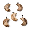 Natural Picture Jasper Pendants G-F820-02F-1