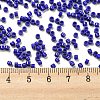 Baking Paint Glass Seed Beads SEED-S042-05A-26-4