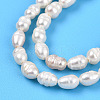 Natural Cultured Freshwater Pearl Beads Strands PEAR-N012-03O-4