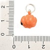 Halloween Themes Alloy Enamel Charms LS-FIND-I063-02A-3