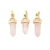 Natural Rose Quartz Double Terminal Pointed Pendant G-H097-01G-06-1