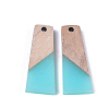 Resin & Wood Pendants X-RESI-S358-59B-2