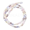 Electroplate Glass Beads Strands EGLA-D300-05-13-5