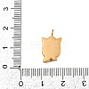 304 Stainless Steel Pendants Ion Plating(IP) LS-STAS-C143-01A-G-3