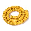 Natural Freshwater Shell Beads Strands SHEL-N037-03A-06-2