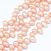 Natural Cultured Freshwater Pearl Beads Strands PEAR-G004-03D-01-X-1