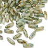 Glass Seed Beads GLAA-C044-02B-1