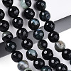 Dyed & Heated Natural Fire Crackle Agate Beads Strands G-N359-01A-02-1