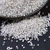 MIYUKI Delica Beads SEED-J020-DB0221-1
