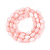 Natural Trochus Shell Beads Strands SHEL-K006-19-01F-2
