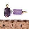Natural Amethyst Pendants GG-N004-01G-04-3