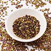 MIYUKI Half TILA Beads SEED-X0054-HTL0462-2