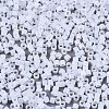 FGB 11/0 Grade A Glass Seed Beads X-SEED-S030-1141-2