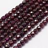 Natural Garnet Beads Strands G-F460-28-1