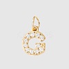 Stainless Steel Cubic Zirconia Pendants with Jump Rings FIND-PW0024-08G-1