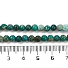 Dyed Natural Regalite/Imperial Jasper/Sea Sediment Jasper Beads Strands G-B124-C04-07-4
