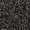 MIYUKI Round Rocailles Beads X-SEED-G009-RR0650-3