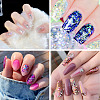10 Boxes 10 Colors PET Shiny Nail Art Glitter MRMJ-TA0001-33-8