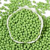 Opaque Acrylic Beads SACR-A007-01C-24-2
