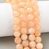 Dyed Natural Malaysia Jade Beads Strands G-G021-02C-23-5