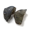 Natural Labradorite Carved Cabochons G-C152-03B-2