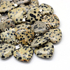 Heart Natural Dalmatian Jasper Pendants G-Q438-04-1