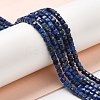 Natural Lapis Lazuli Beads Strands G-E608-B12-4
