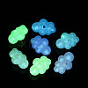Transparent Acrylic Beads OACR-Z013-02B-2
