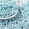 Baking Paint Glass Seed Beads SEED-C003-02E-1